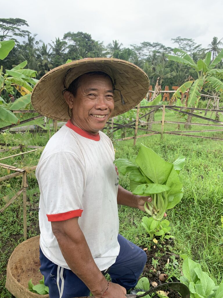 17.2 Investment Opportunities in Bali for Empathy School Parents 17.2 Investment Opportunities in Bali for Empathy School Parents